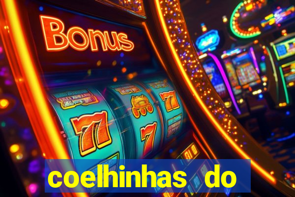 coelhinhas do brasil recife